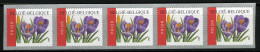 België R106 - Bloemen - Buzin (3142) - Crocus Vernus - 2002 - Strook Van 5 - Bande De 5  - Rollen