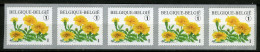 België R116 - Bloemen - Buzin (3824) - Tagetes Patula - Afrikaantje - 2008 - Strook Van 5 - Bande De 5 - Met Nummer - Coil Stamps