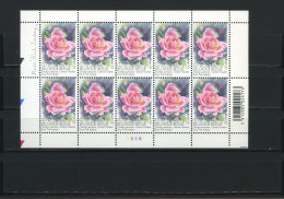 België F 3384 - Gentse Floraliën XI - Rozen - Velletje Van 10 - 2005 - Plnr 5 - 2001-2010