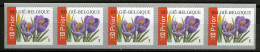 België R108 - Bloemen - Buzin (3227) - Crocus Vernus - 2003 - Strook Van 5 - Bande De 5  - Coil Stamps