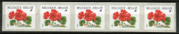 België R91 - Bloemen - Buzin (2854) - Geranium - 1999 - Strook Van 5 - Bande De 5  - Franqueo