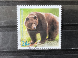 Russia / Rusland - Bears (24) 2020 - Used Stamps