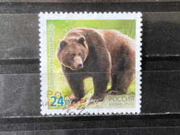 Delcampe - Russia / Rusland - Bears (24) 2020 - Gebraucht