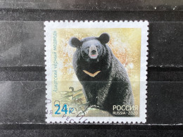 Russia / Rusland - Bears (24) 2020 - Used Stamps