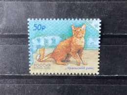 Russia / Rusland - Cats (50) 2020 - Used Stamps