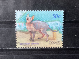 Russia / Rusland - Cats (50) 2020 - Used Stamps