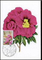 1525 - MK - Gentse Floraliën IV #2 - 1961-1970