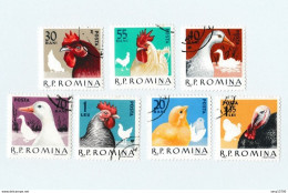 Roumanie Lot De 29 Timbres Les Volatiles De La Ferme - Canard, Poule, Dindon, Poussin, Coq, Chevaux, Chats Et Chiens - Used Stamps