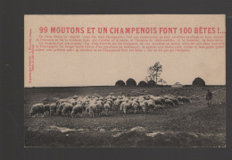 CPA - Régions - Champagne - 99 Moutons Et Un Champenois Font 100 Bêtes ! - Non Circulée - Champagne-Ardenne