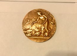 Belle Médaille Société Nationale Des Chemins De Fer Français - Profesionales / De Sociedad