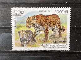 Russia / Rusland - Europa, Endangered Animals (52) 2021 - Gebruikt