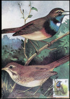 2321 - MK - Buzin : Vogels - Blauwborst #1 - 1981-1990