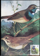 2321 - MK - Buzin : Vogels - Blauwborst #3 - 1981-1990