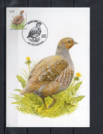 Année 2005 : Carte Maximum 3381 - Oiseaux - Perdrix Grise - Buzin - Obli. Petit-Rechain - 2001-2010