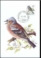 2351 - MK - Buzin : Vogels - Vink - 1981-1990