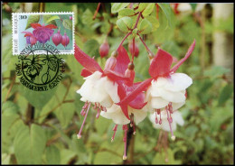 2591 - MK - Gentse Floraliën XI - 1991-2000