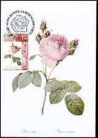 2710 - MK - Honderdbladige Roos - Rosa Centifolia #1 - 1991-2000