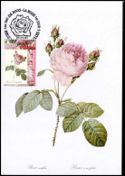 2710 - MK - Honderdbladige Roos - Rosa Centifolia #2 - 1991-2000