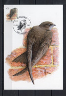 Année 2007 : Carte Maximum 3608 - Oiseaux - Martinet Noir - Buzin - Obli. Angleur - 2001-2010