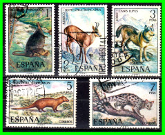 ESPAÑA.-  SELLOS AÑOS 1972 -.  FAUNA HISPANICA - SERIE.- - Oblitérés