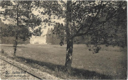 Saint-Ode Avenue Du Château - Daverdisse