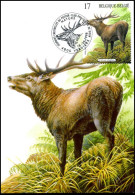 2749 - MK - Natuur - Zoogdieren Van De Ardennen - Mammifères - Buzin - Edelhert - Le Cerf élaphe - 1991-2000