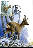 2751 - MK - Natuur - Zoogdieren Van De Ardennen - Mammifères - Buzin - Ree - Le Chevreuil - 1991-2000