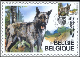 3065 - MK - Belgische Rashonden - Bouvier Des Ardennes - 2001-2010