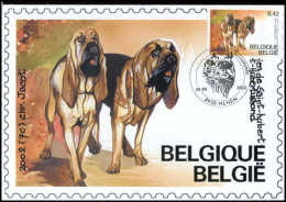 3066 - MK - Belgische Rashonden - Sint-Hubertushond - 2001-2010