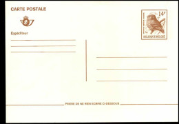 Buzin BK - Vogels - Steenuil - Chouette Chevèche - FR - Cartes Postales 1951-..