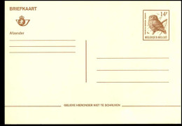 Buzin BK - Vogels - Steenuil - Chouette Chevèche - NL - Briefkaarten 1951-..
