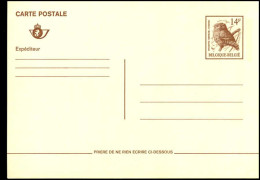 Buzin PK - Vogels - Steenuil - Chouette Chevèche - FR - Briefkaarten 1951-..