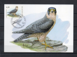 Année 2008 : Carte Maximum 3751 - Oiseaux - Faucon Pélerin - Buzin - Obli. Bruxelles-Brussel - 2001-2010