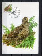 Année 2009 : Carte Maximum 3898 - Oiseaux - Bécasse Des Bois - Buzin - Obli. Bruxelles-Brussel - 2001-2010