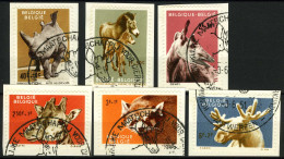 België 1182/87 - Dieren - Zoo Van Antwerpen I - Animaux - Zoo D'Anvers I - O - Used - Used Stamps