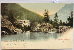 Salvan (Valais) - Le Lac Des Marécottes Avec Barque Et Colorisation (16'517) - Salvan