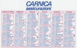 Calendarietto - CARNICA - Assicurazioni - Anno 1993 - Petit Format : 1991-00