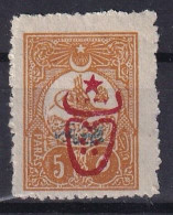 OTTOMAN EMPIRE 1917 - MLH - Mi 581 E - Ungebraucht