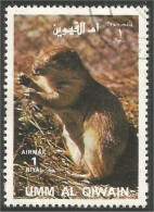 902 Umm Qiwain Marmotte Groundhog Marmota Murmeltier Marmotta (UMM-31) - Rongeurs