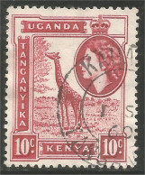 898 Uganda Girafe Giraffe Girafa (UGA-78c) - Girafes