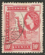 898 Uganda Girafe Giraffe Girafa (UGA-78a) - Uganda (1962-...)