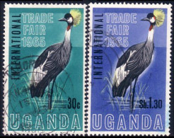 898 Uganda Storks Cigognes (UGA-62) - Ooievaars