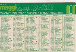 Calendarietto - Studio MAGGI Commerciale - Milano - Anno 1993 - Petit Format : 1991-00