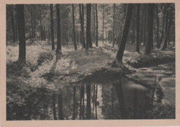 5087 - Bach Im Wald - Ca. 1935 - Maps