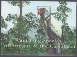 2001 Antigua And Barbuda 3566/B515 Birds 7,00 € - Albatrosse & Sturmvögel