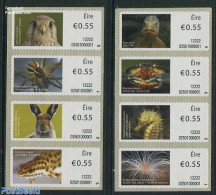 Ireland 2012 Animals 8v S-a, Mint NH, Nature - Animals (others & Mixed) - Birds - Birds Of Prey - Fish - Frogs & Toads.. - Ungebraucht