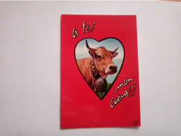 Carte Postale Fantaisie - La Vache, A Toi Mon Cœur !!!   "PP 2703"    (1ipg) - Gekleidete Tiere