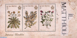 San Marino 2023 Flora S/s, Mint NH, Nature - Flowers & Plants - Neufs