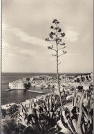 POSTCARD 3194,Croatia,Dubrovnik - Croazia