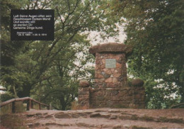 900 - Walsrode - Tietlinger Wacholderpark Zwischen Fallingbostel/Walsrode I.d. Lüneburger Heide - 1991 - Lüneburger Heide